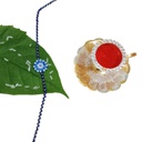 Handmade Sky Blue and White Beaded Rakhi