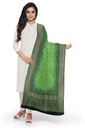 Parrot Green and Green Georgette Handwoven Neemzari Bandhani Dupatta