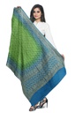 Parrot Green and Sky Blue Georgette Handwoven Neemzari Bandhani Dupatta