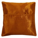 Embroidered Mashru Cushion Cover