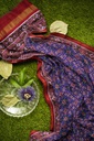 Handwoven Double Ikat Silk Patola Saree