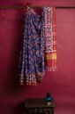 Handwoven Double Ikat Silk Patola Saree