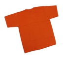 Statue of Unity Cotton Half Sleeves T-Shirt