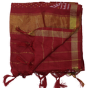Handloom Single Ikat Patola Silk Stole