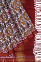 Handwoven Double Ikat Silk Patola Saree