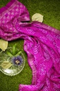 Hand Dyed Gaji Silk Bandhani Saree