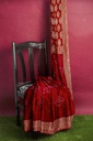 Hand Dyed  Bandhani Saree