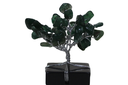 Handcrafted Mini Natural  Agate Gemstone Trees Set
