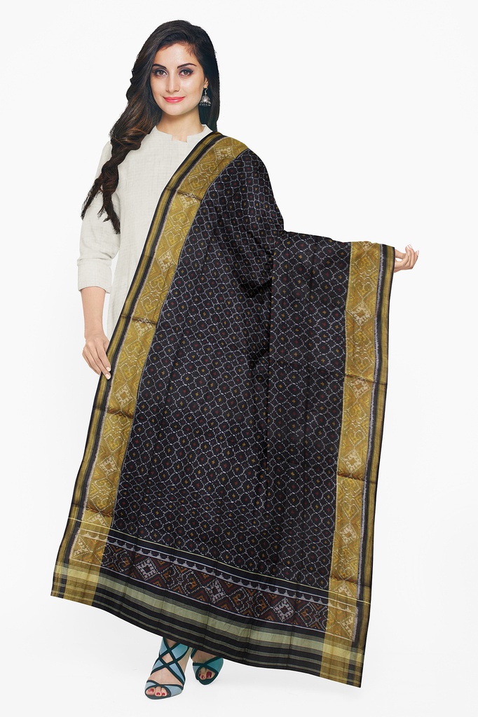 Handloom Single Ikat Patola Silk Dupatta