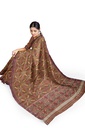 Handloom Single Ikat Silk Patola Saree