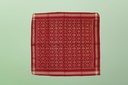 Handloom Single Ikat Patola Pocket Square