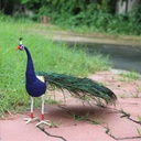 Handmade Decorative Beadwork Peacock