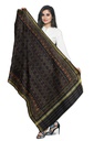 Handloom Single Ikat Patola Silk Dupatta