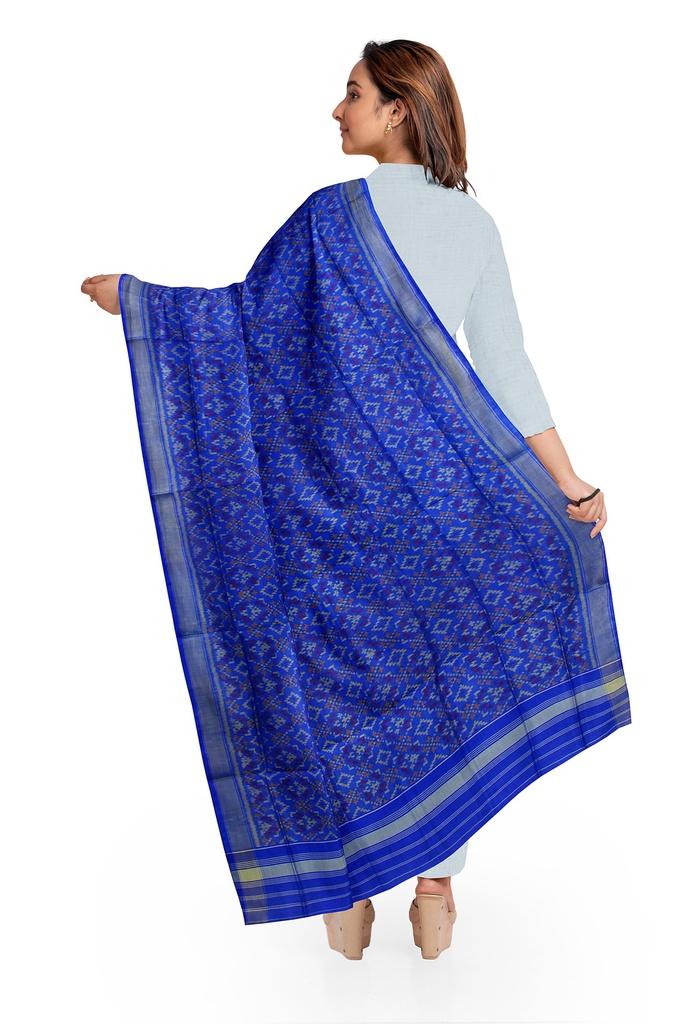 Handloom Single Ikat Patola Silk Dupatta