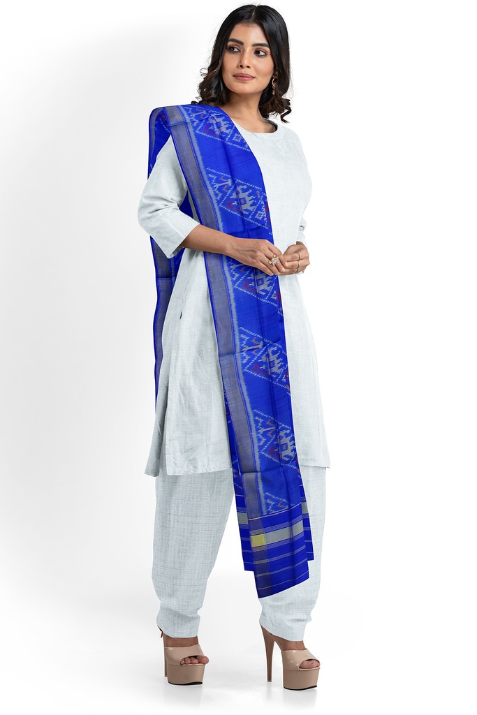 Handloom Single Ikat Patola Silk Dupatta