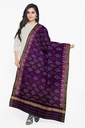 Handloom Single Ikat Patola Silk Dupatta