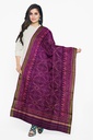 Handloom Single Ikat Patola Silk Dupatta