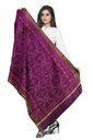 Handloom Single Ikat Patola Silk Dupatta