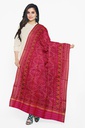 Handloom Single Ikat Patola Silk Dupatta
