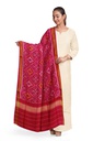 Handloom Single Ikat Patola Silk Dupatta