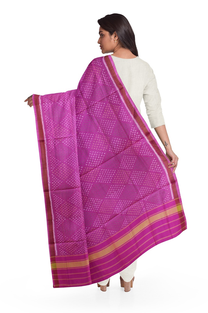 Handloom Single Ikat Patola Silk Dupatta