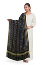 Handloom Single Ikat Patola Silk Dupatta
