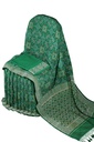 Handcrafted Ashavali Saree with Artistic Woven Design