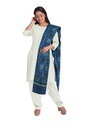 Handloom Single Ikat Patola Silk Dupatta