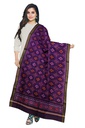 Handloom Single Ikat Patola Silk Dupatta