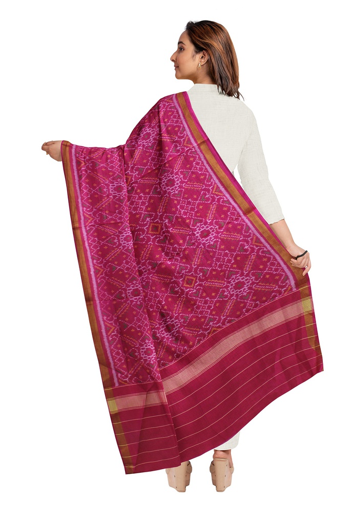 Handloom Single Ikat Patola Silk Dupatta