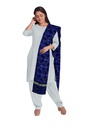 Handloom Single Ikat Patola Silk Dupatta