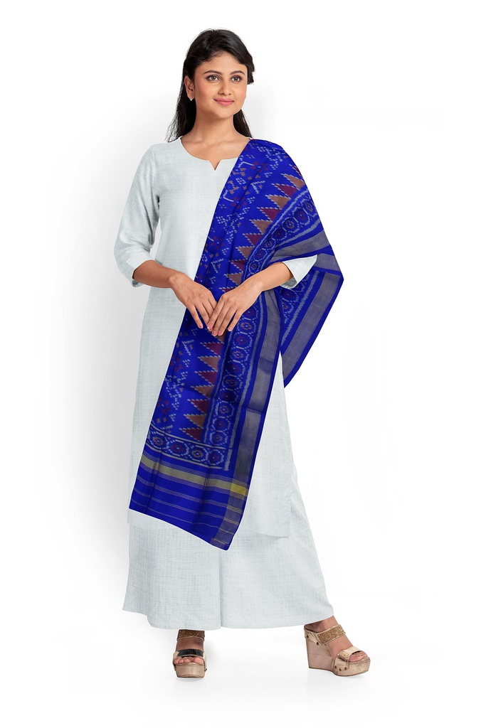 Handloom Single Ikat Patola Silk Dupatta