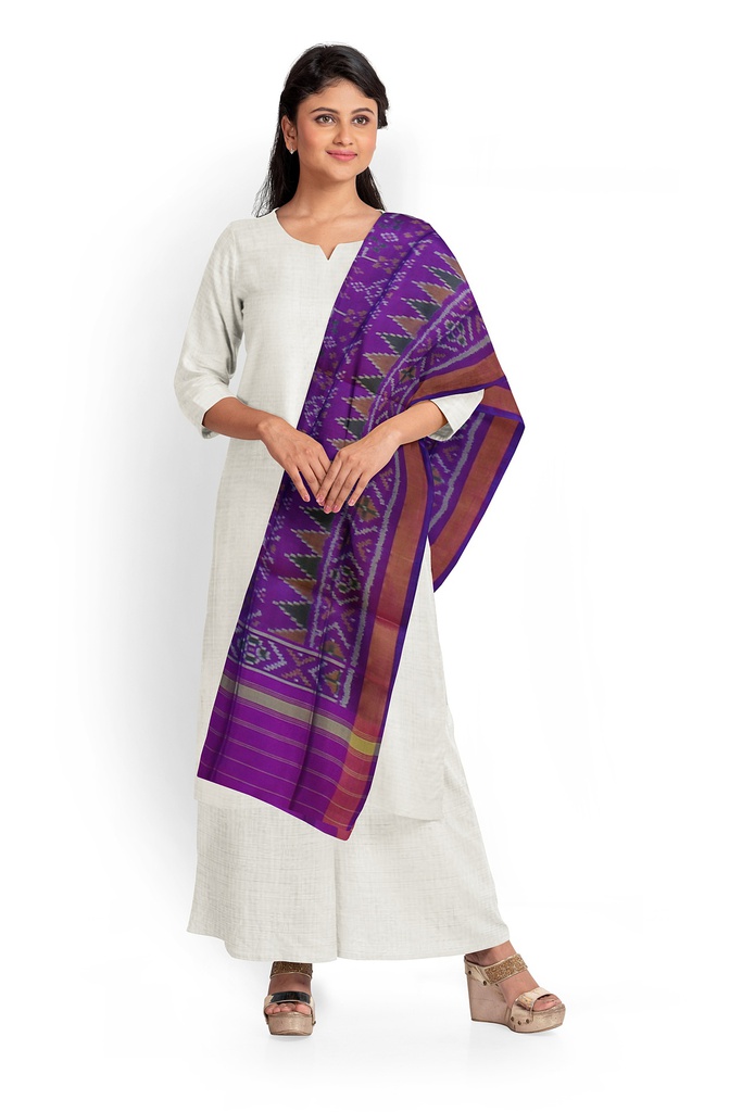 Handloom Single Ikat Patola Silk Dupatta