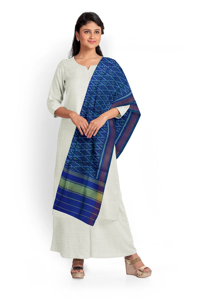 Handloom Single Ikat Patola Silk Dupatta