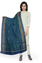 Handloom Single Ikat Patola Silk Dupatta