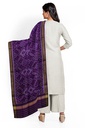 Handloom Single Ikat Patola Silk Dupatta