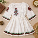 Handcrafted Embroidered Mashru Kediya Top