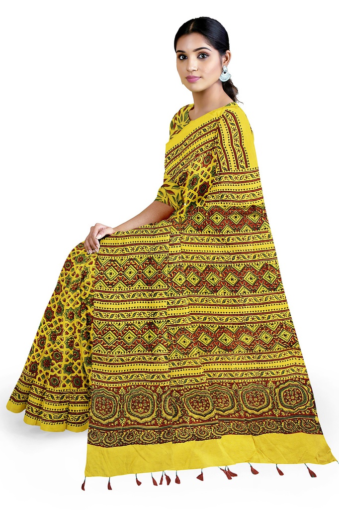 Grey Modal Silk Ajrakh Hand Block Print Saree With Tissue Pallu