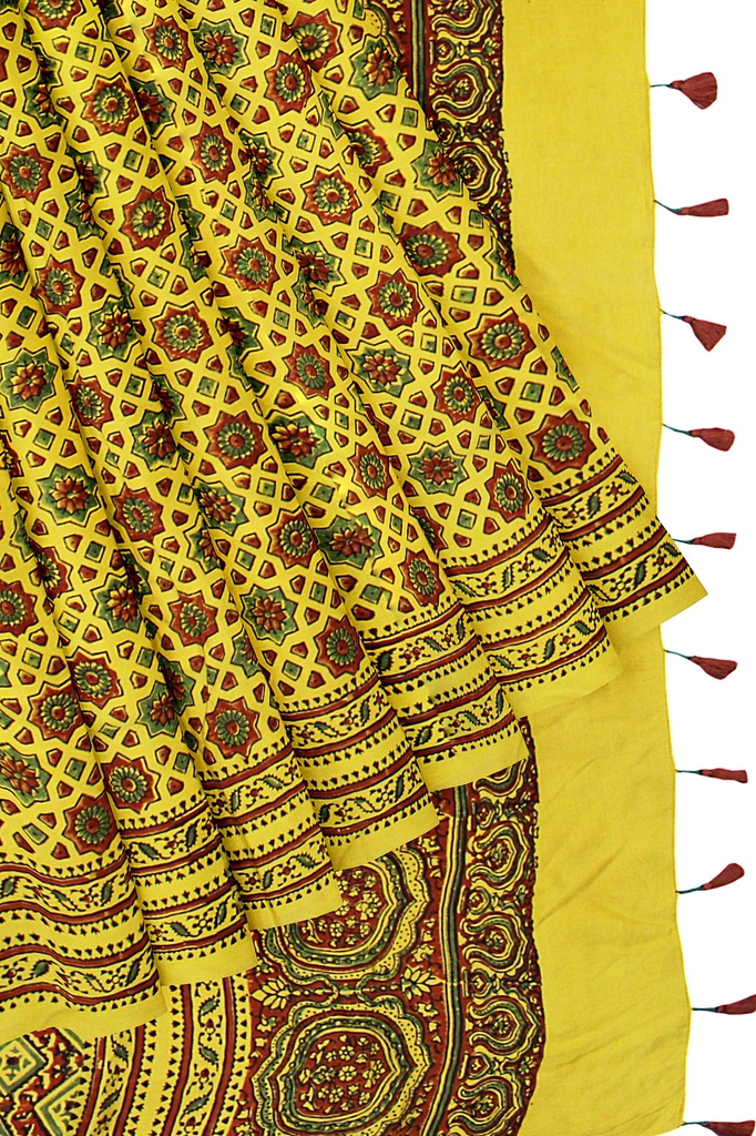 Black Silk Ajrakh Hand Block Print Saree With Tissue Pallu