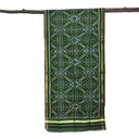 Green Shaded Handloom Single Ikat Patola Silk Stole