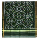 Green Shaded Handloom Single Ikat Patola Silk Stole