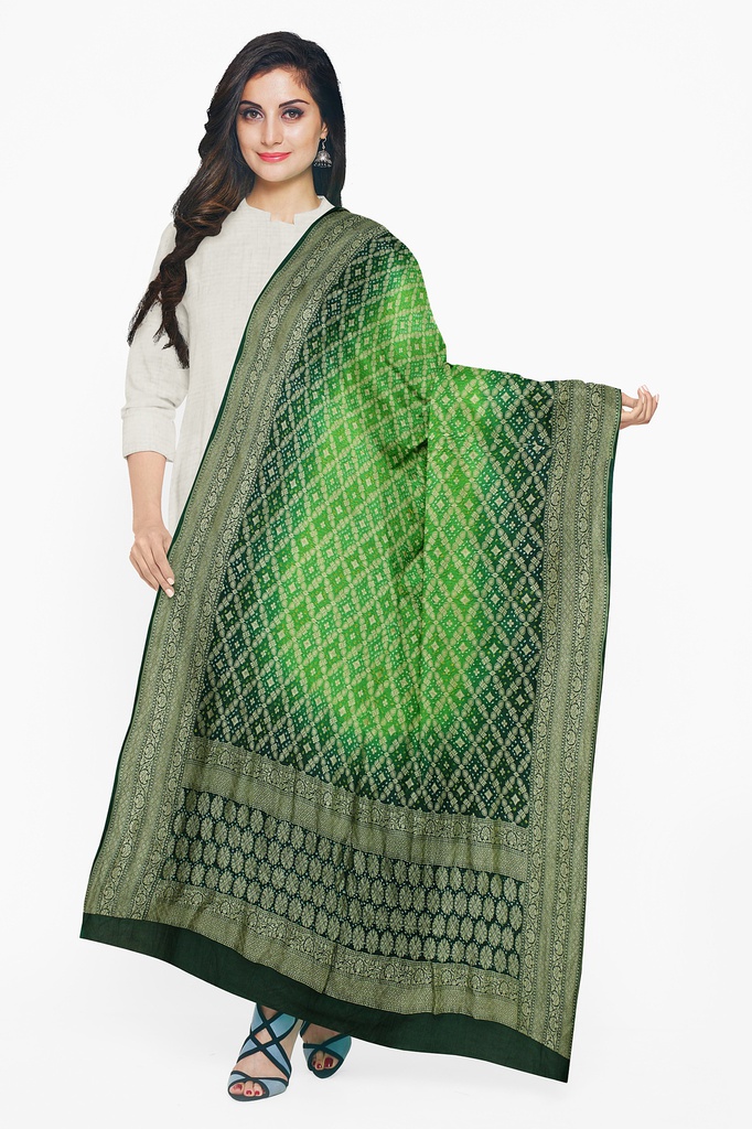 Parrot Green and Green Georgette Handwoven Neemzari Bandhani Dupatta