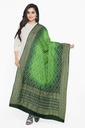 Parrot Green and Green Georgette Handwoven Neemzari Bandhani Dupatta