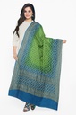 Parrot Green and Sky Blue Georgette Handwoven Neemzari Bandhani Dupatta