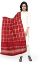 Red Handwoven Gaji Silk Bandhani Dupatta