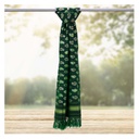 Green Shaded Handloom Single Ikat Patola Silk Dupatta