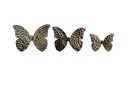 Handcrafted Brass Butterfly Set (Pair of 3)