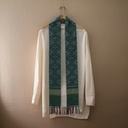 Green Shaded Handloom Single Ikat Patola Stole
