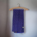 Blue Handloom Single Ikat Patola Silk Dupatta