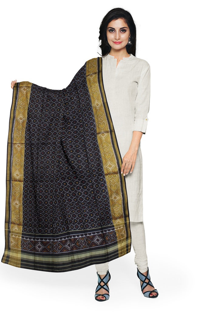 Handloom Single Ikat Patola Silk Dupatta